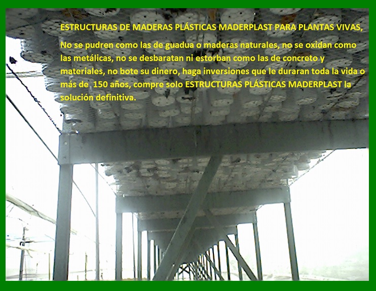 banco de enraizamiento enraizar plantas mostrador mesón lecho soporte propagar cultivar vivero plantar sembrar semillas esquejes brotes de plantas tallos socos de semillas en macetas materas 05 banco de enraizamiento enraizar plantas mostrador mesón lecho soporte propagar cultivar vivero plantar sembrar semillas esquejes brotes de plantas tallos socos de semillas en macetas materas 05 banco de enraizamiento enraizar plantas mostrador mesón lecho soporte propagar cultivar vivero plantar sembrar semillas esquejes brotes de plantas tallos socos de semillas en macetas materas 05